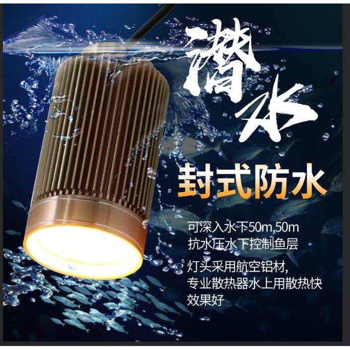 鹰睿水下筏钓灯暖黄光聚鱼灯筏钓水下诱鱼灯微铅夜钓竿稍灯伐钓灯