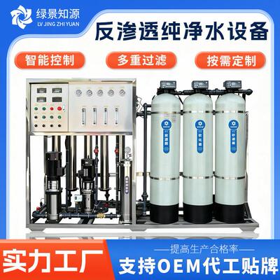 双级ro反渗透设备纯净水大型工业商用全自动去离子水设备厂家直供