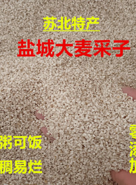 苏北特产盐城大麦糁子大麦采子