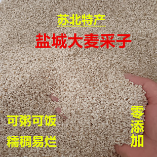 苏北特产盐城五谷杂粮大麦采子大麦面粗粮大麦采子大麦糁大麦米