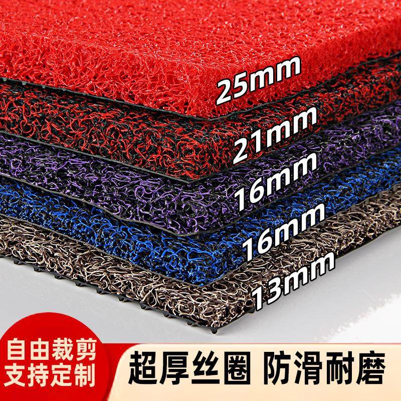 可裁剪丝圈地垫入户门垫进门口脚垫汽车防滑耐脏垫子塑料地毯加厚