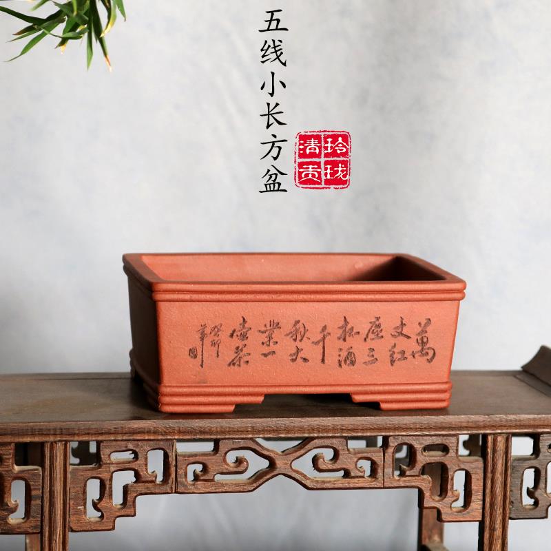 玲珑清供小品盆长方五线小马槽盆松柏黄杨小苗菖蒲多肉苔藓仙人球