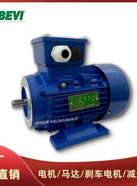丹麦BEVI电机马达4A3D/系列三相异步电动机0.090.120.18~15W