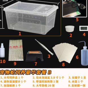 爬宠饲养套餐守宫豹纹R属宠物蛇新手套餐饲养盒用品钙维粉藏山