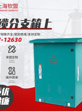 电缆分支箱上_DFW-12630电缆分接箱高压电缆分支箱_电缆分接箱