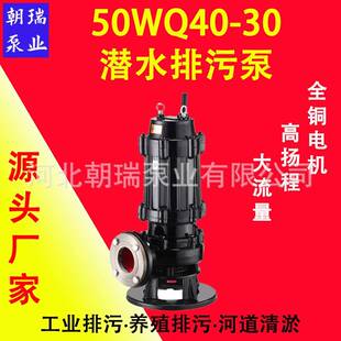 30排污水泵 JYWQ系列自动搅匀潜水排污泵固体排污泵不堵塞50WQ40