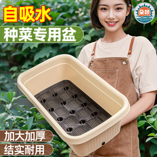 种菜盆自吸水家用阳台种菜盆加大加厚长方形塑料蔬菜种植花盆