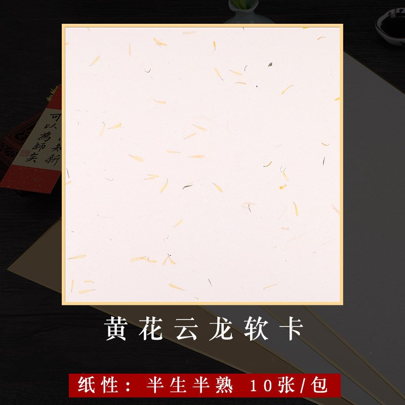 徽雨轩书法作品纸加厚宣卡整面花草宣仿古云龙皮纸包金边宣纸卡纸