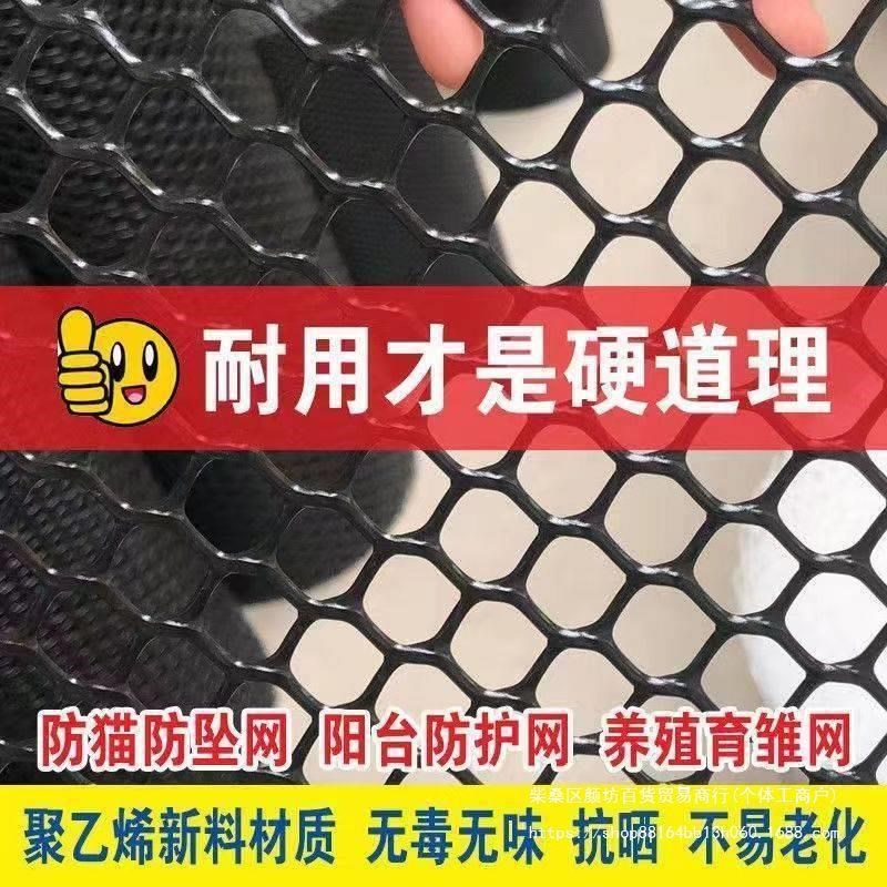 黑色塑料网格阳台防护网封窗防猫防坠网养殖育雏养鸡鸭隔离围栏网