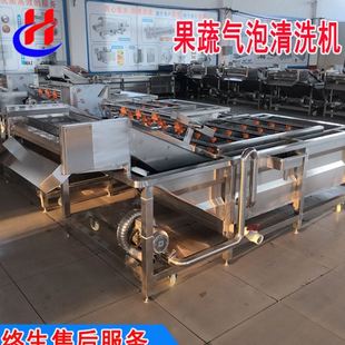 鼓泡氣泡清洗機(jī)山野菜薺菜清洗機(jī)桑葉清洗機(jī)