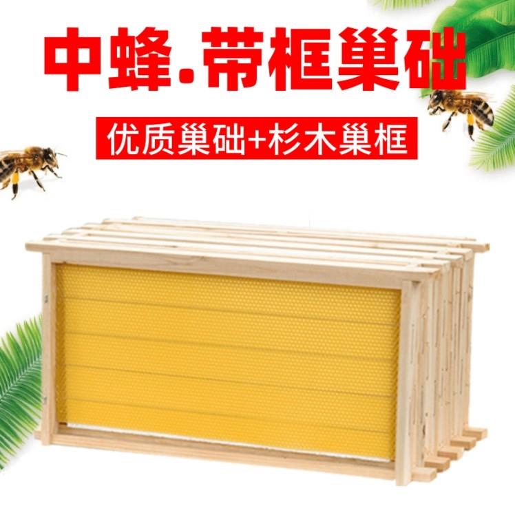 巢框中蜂蜂巢成品带框全套养蜂工具蜂具