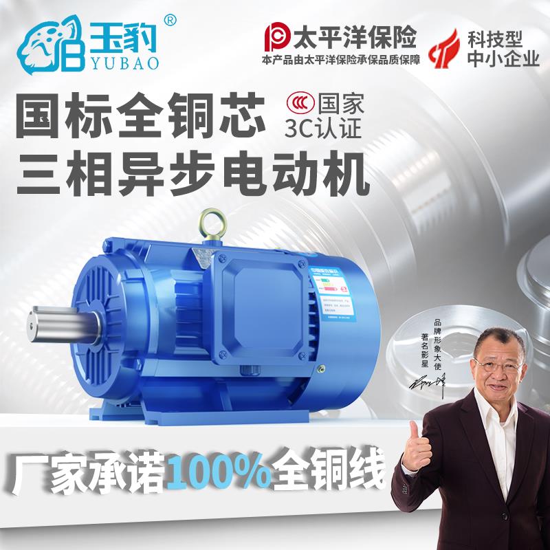 三相异步马达7.5/5.5/4/3/2.2/1.5/1.1/0.75KW千瓦全铜电机380V