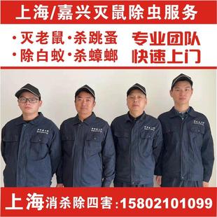 上海上门灭鼠除鼠公司专业消杀除四害抓老鼠服务逮捕鼠笼夹粘鼠板