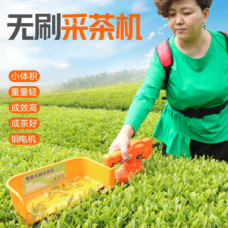 无刷电动采茶机单人便携式小型迷你修剪机充电式绿篱机茶叶采摘机