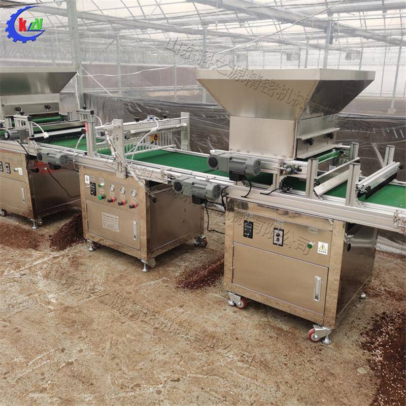 全自动穴盘育苗播种机铺土压穴播种覆土实用按钮一键式播种厂家