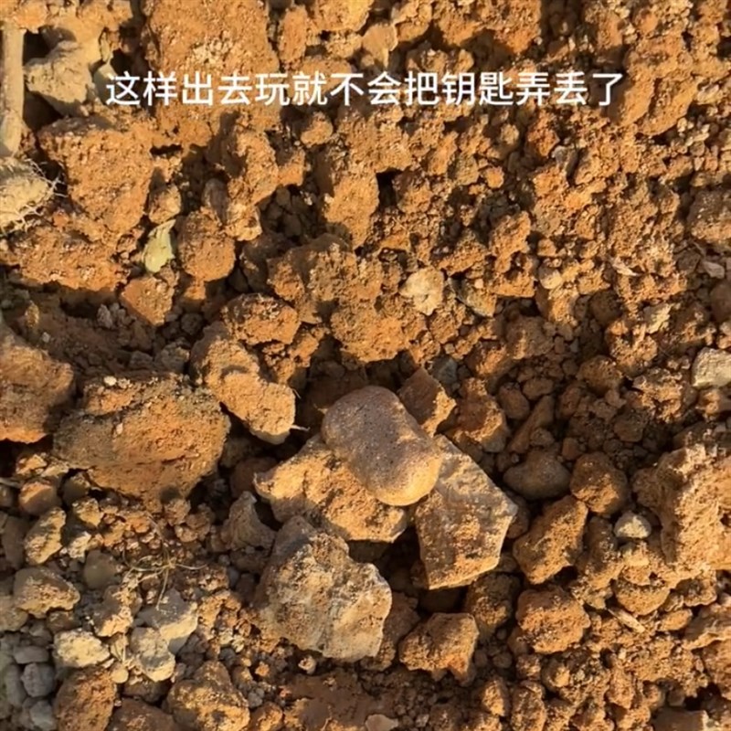 暗格石头楼道入户门口藏钥匙神器看不出来装饰创意仿真石头钥匙盒