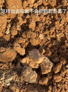 暗格石头楼道入户门口藏钥匙神器看不出来装饰创意仿真石头钥匙盒