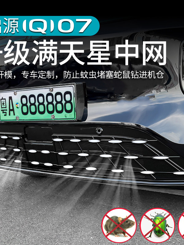 Changan Qiyuan Q07 üçün həşəratdan qoruyucu tor