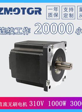 110外径直流无刷电机大力矩设备用电机1000W310V高压无刷电机