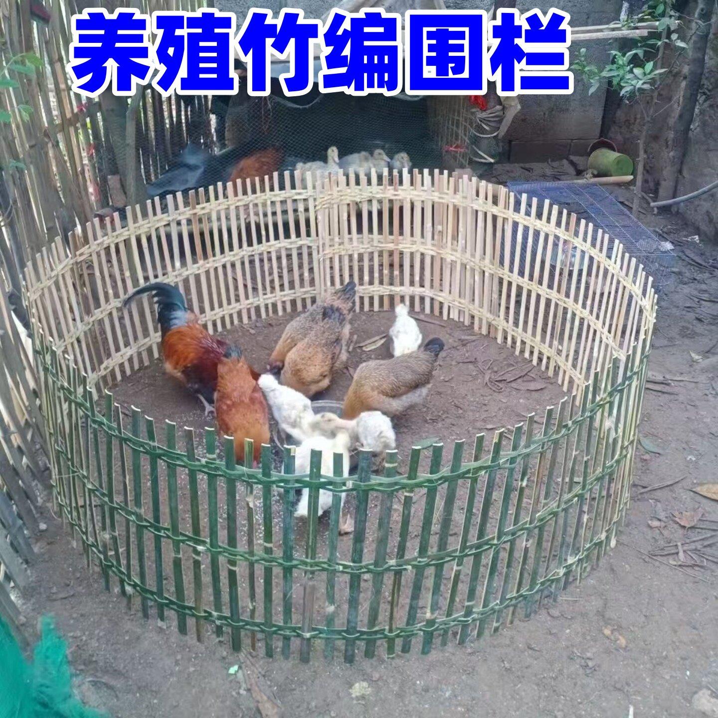 竹编围栏养鸡鸭鹅笼护栏装饰道具竹篱笆菜园小院栏摆摊卖鸡围栏
