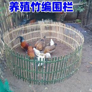 竹编围栏养鸡鸭鹅笼护栏装饰道具竹篱笆菜园小院栏摆摊卖鸡围栏