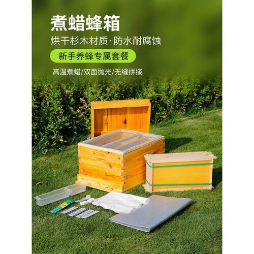 蜜蜂箱全套标准十框七框中蜂煮蜡活动底蜂箱成品巢框新手养蜂套餐
