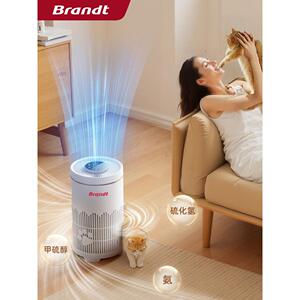 Brandt白朗宠物空气净化器 宠物吸毛器去除异味除过敏净化器