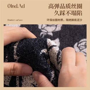 中古风丝圈入户门地垫家用门口进门耐脏防滑脚垫复古高级感可裁剪