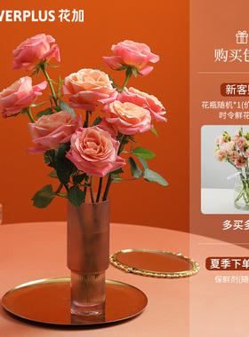 花加flowerplus甄选鲜花订阅简花极简美鲜切花束每周一花订阅鲜花