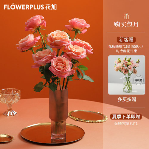 花加flowerplus甄选鲜花订阅简花极简美鲜切花束每周一花订阅鲜花
