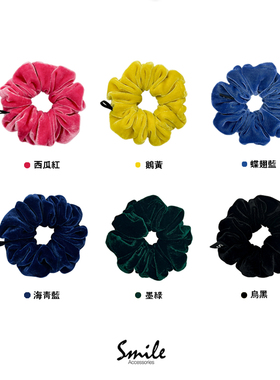 Smile Accs【公主日记】丝绒大肠发圈皮筋女士扎马尾发饰头饰礼物