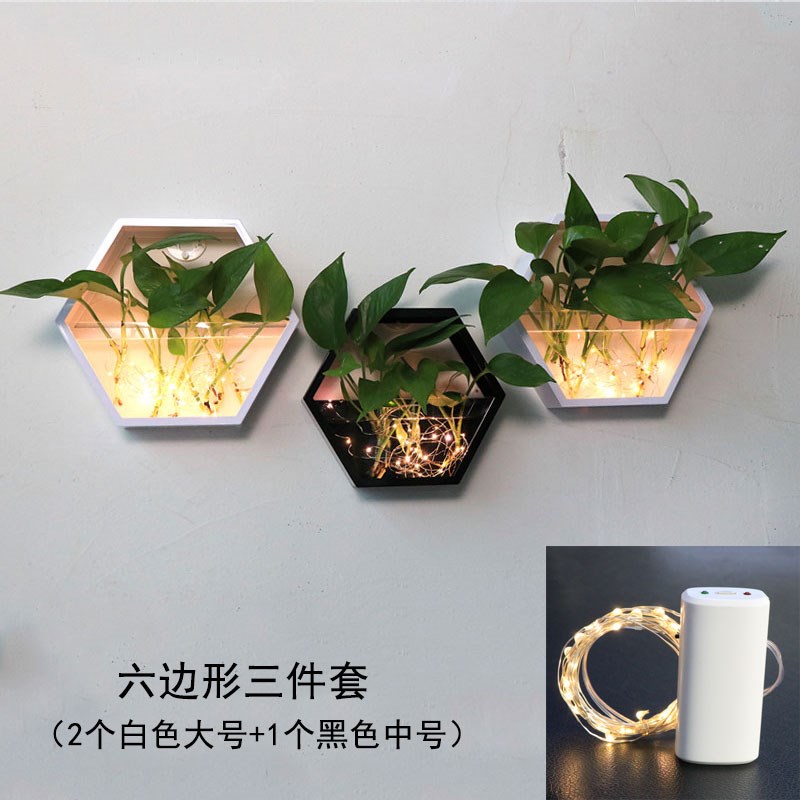 餐厅墙面装饰水培绿植背景墙绿萝创意挂墙壁挂花盆客厅墙壁挂件