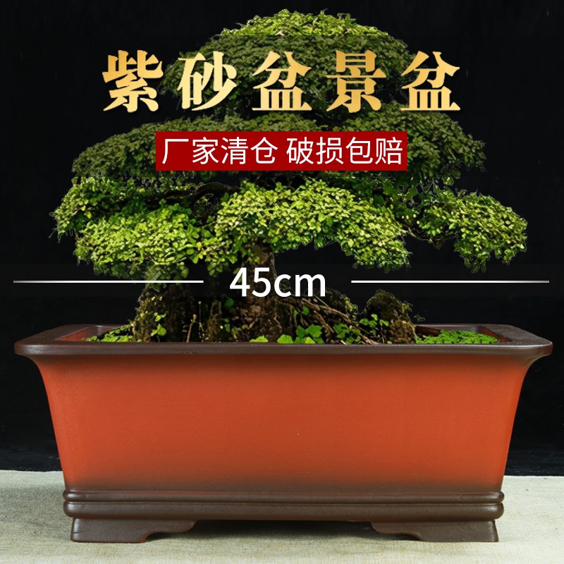 宜兴紫砂花盆大口径长方马槽绿植盆景盆特大号种树阳台观景陶瓷盆