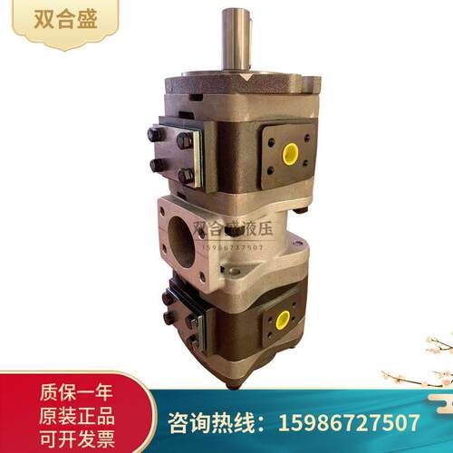 VOITH福伊特齿轮泵IPV5/-64+IPV5/-64双联油泵IPV4-32-171+IVP4-1