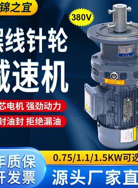 380VBLD10摆线针轮减速机立式污水池液体加药搅拌机工业减速机