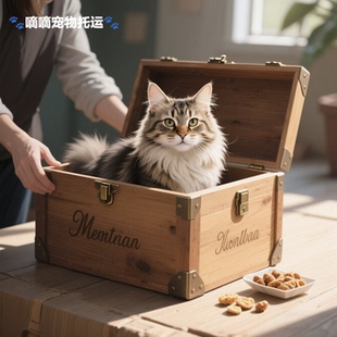 昆明出发全国宠物托运活体运输服务空运陆运专车随机手续陪同办理