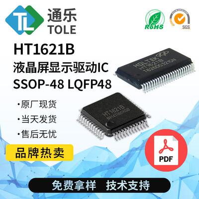 HT1621BHT1621SSOP-48LCD液晶屏显示驱动ICTM1621BTM1621