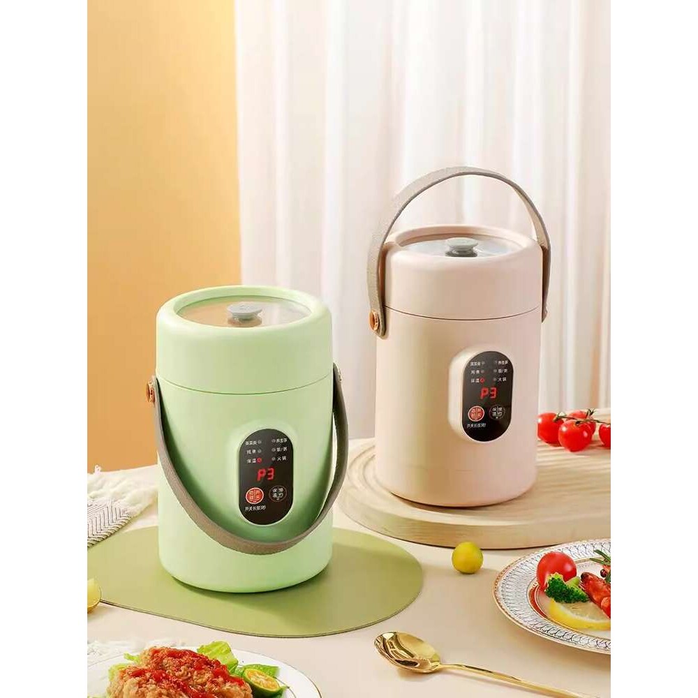 电炖杯便携式煲汤煮饭迷你小电炖盅预约养生杯火锅杯焖烧杯