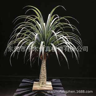 商业空间装饰酒瓶兰假树落地室内外摆仿真大型绿植丝兰树橱窗造景