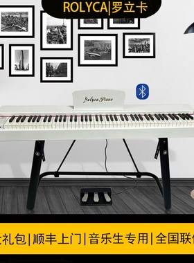 罗立卡RB100便携式电钢琴ROLYCA电子钢琴家用88键重锤初学者