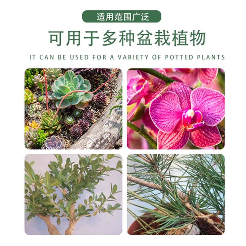 金松土(50斤大包装)多元素高端纯颗粒松柏基质专用土金松颗粒土