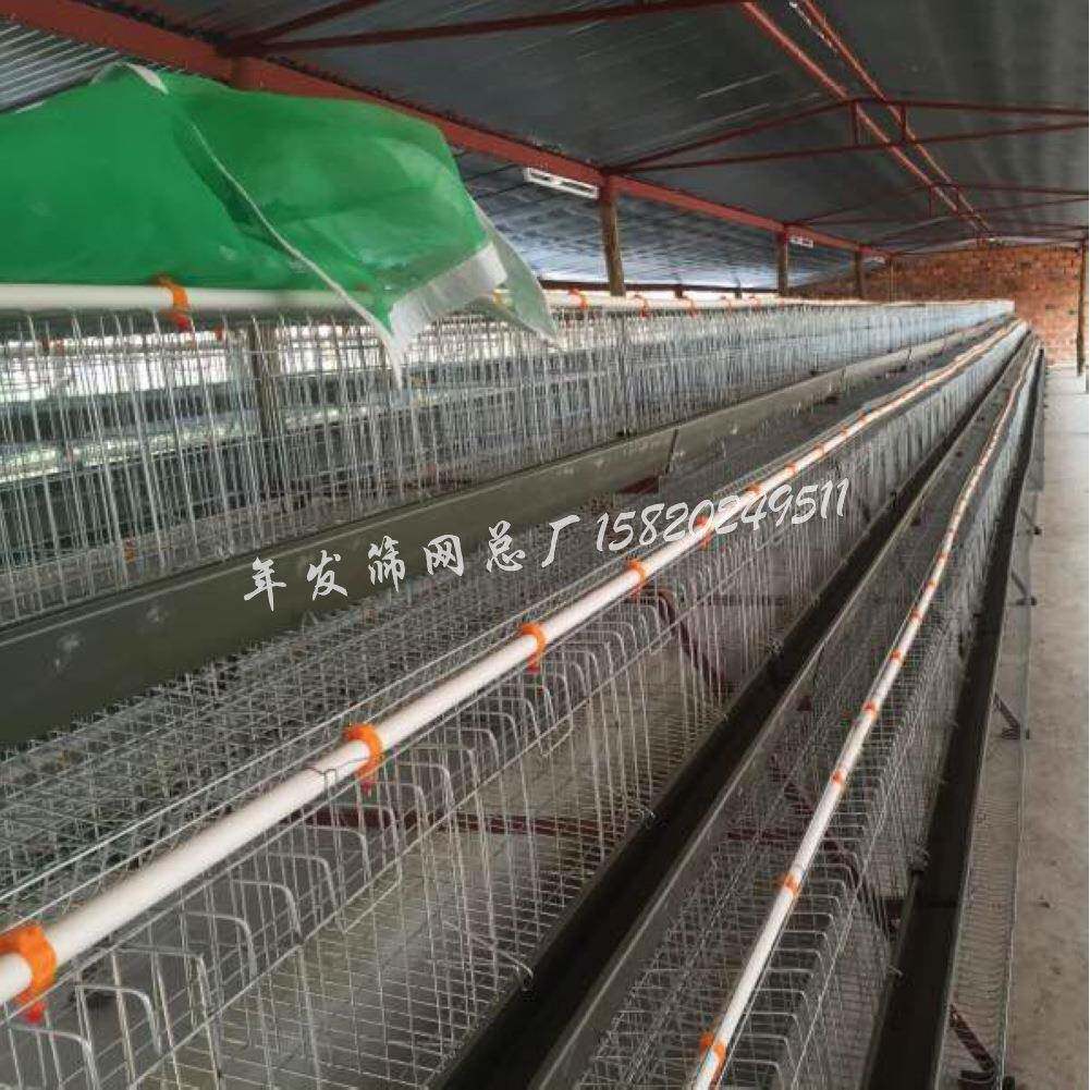 厂家现货蛋鸡笼供应农业饲养金属铁丝网圈养笼阶梯式四门