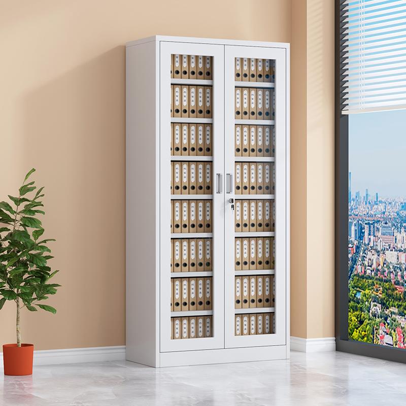 办公室通玻凭证柜文件柜铁皮书柜收纳柜财务档案资料带锁储物柜子