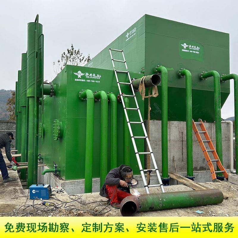 一体化净水设备农村生活饮用水无阀过滤器自来水厂水处理设备