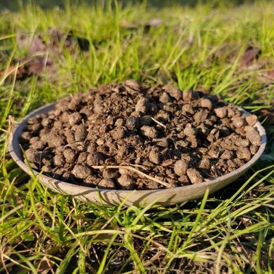羊粪蛋腐熟羊粪天然发酵无臭味无异味花卉蔬菜通用花肥羊粪肥料
