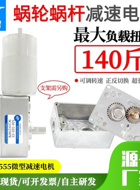 A58555减速电机双出轴蜗轮蜗杆电机12v24v大扭力自锁马达小电机