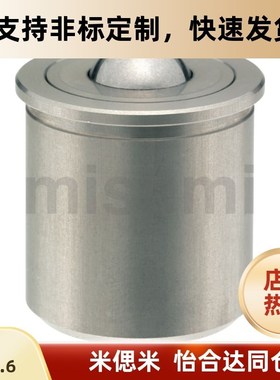 外螺纹带柱塞螺纹功能型304不锈钢球头钢珠滚轮BCHPT16/20/24