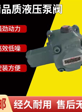 VDC-1A-F20D不二越油泵VDC/VDR-1B/1A-1A3/1A4/1A5/2A2/2A3-U-22