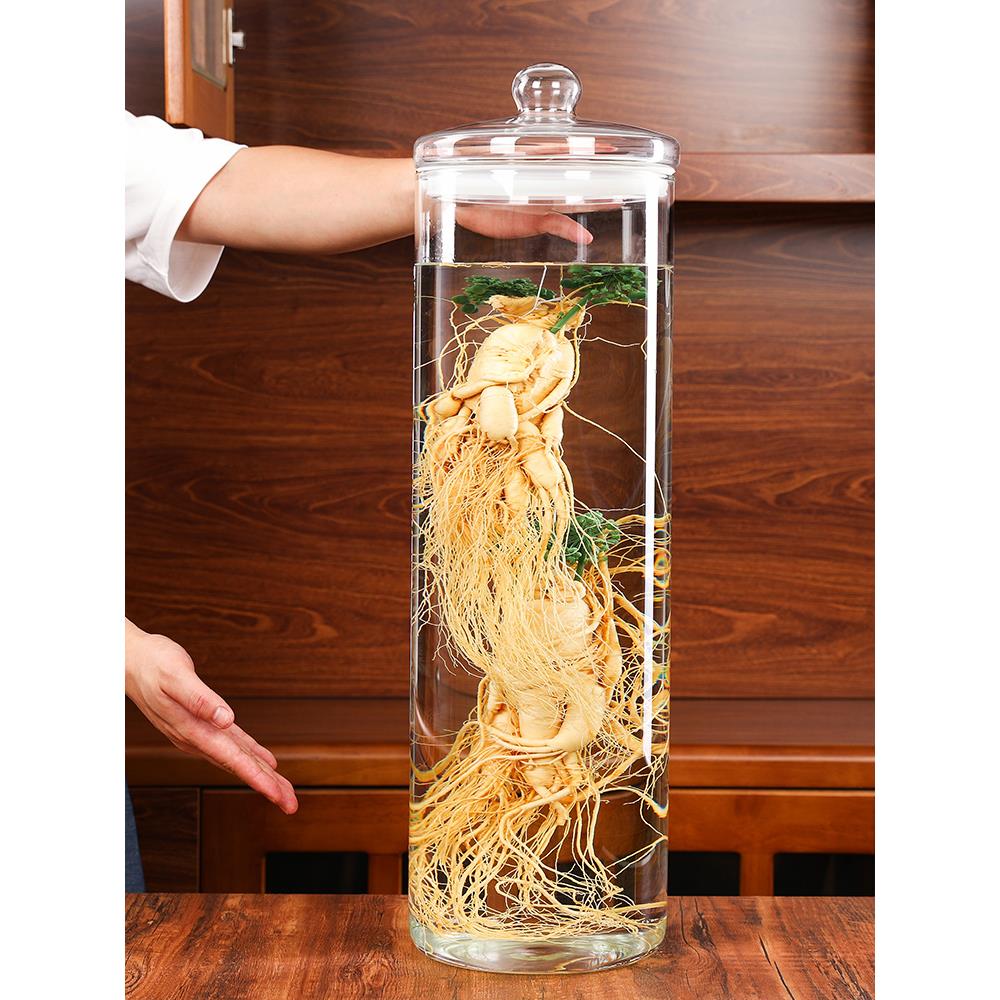 泡酒瓶直筒人参药酒专用酒瓶广口大号密封罐玻璃标本瓶加高展示瓶