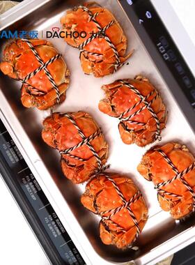 大厨DB600/602专用蒸烤盘/炸烤网架 安全易清洁DACHOO大厨